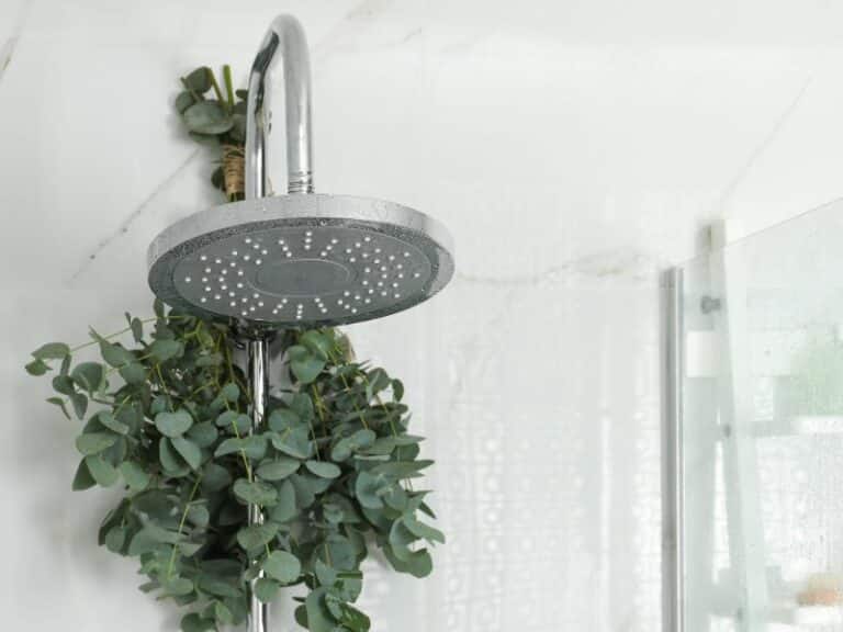 Upgrading Your Shower Experience: Rainfall Showerhead Pros and Cons